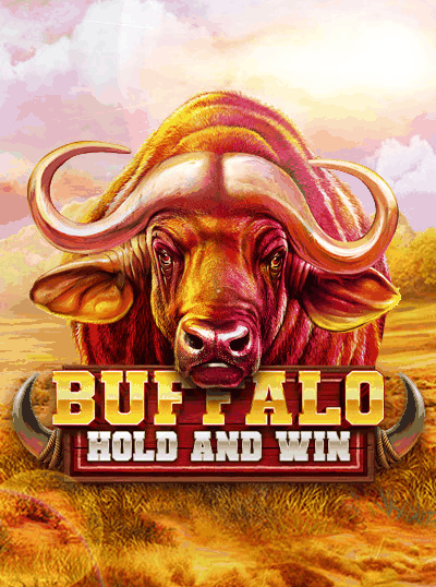 BUFFALO HOLD AND WIN